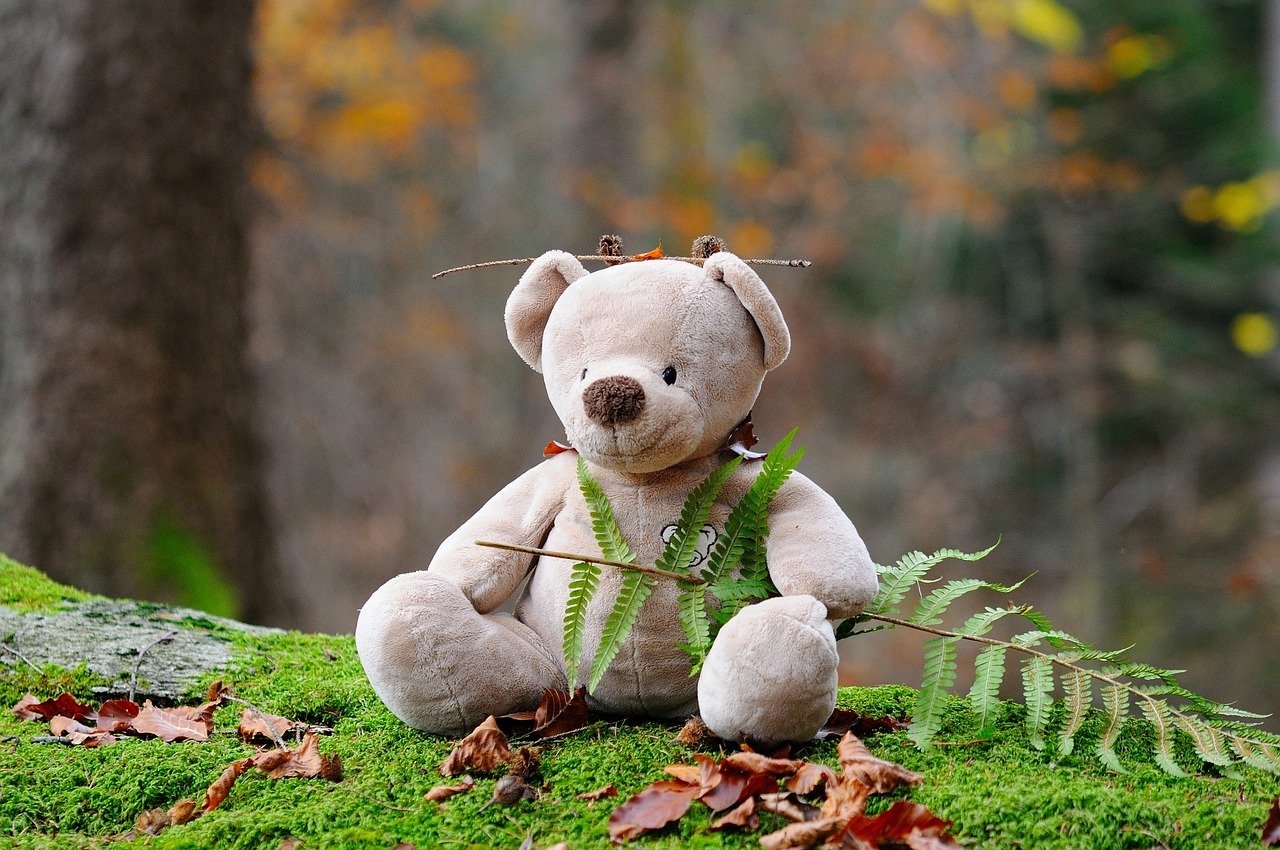 teddy bear, bear, plush toy-524251.jpg